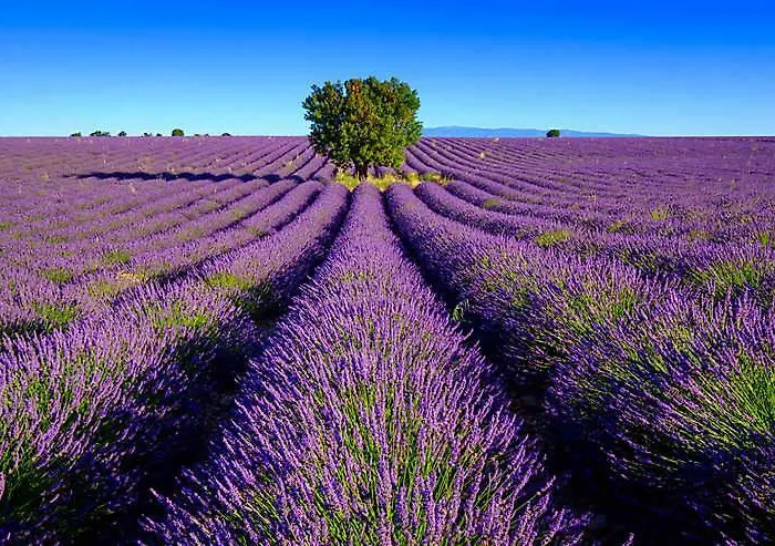 Les - Avec Privatif * Valensole