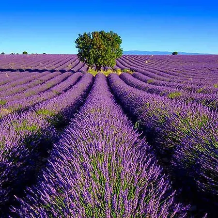 Les - Avec Privatif * Valensole